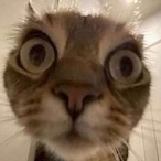 Boonka_'s Avatar'