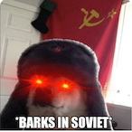 IIBaxterII's Avatar'