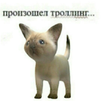 Slilycomboss's Avatar'