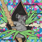 Hush.LiT's Avatar'