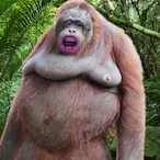 unclejolly's Avatar'