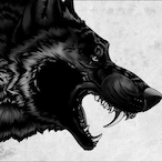 Sinngularity's Avatar'