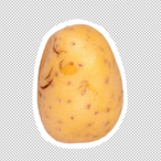 Unqualified.0_0's Avatar'