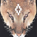 XxBlueLanHDxX's Avatar'