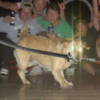 findalobby's Avatar'