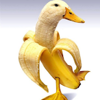 Da-Rubber-Ducky0's Avatar'