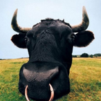 Kemler_Ehcornu's Avatar'
