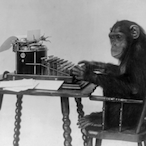 PumpkinRaven's Avatar