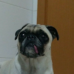 AqueleYnoi's Avatar'