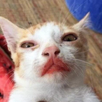 bean-b0y's Avatar'