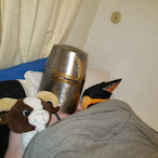 FallnDynasty's Avatar'