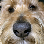 TightMonkeyBum's Avatar'