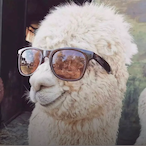 Rk_MaKaCoW's Avatar'