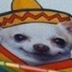 MutatedCat's Avatar'