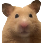 BoogieLoops's Avatar'