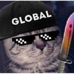 Kot-Global's Avatar'
