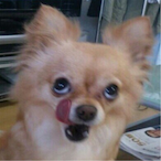KOR_KKAKKA's Avatar'