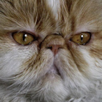 TerryDavis88's Avatar'