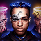 BarkysBoburrito's Avatar'