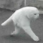 CE.Boogaloo.jpg's Avatar'