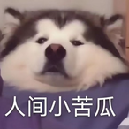 nodingnolife's Avatar'