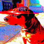 TheIronGoober's Avatar'