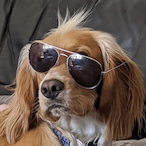 MiniBeggles0's Avatar'