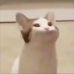 GLAZofSALTv2's Avatar'