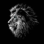 Vrolijk.'s Avatar'