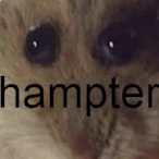 HappyHamster42's Avatar'