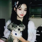 NoBuShit._.'s Avatar'