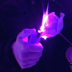 LordFerret's Avatar'