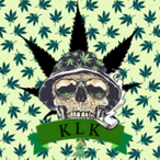 AamsterdamM.THC's Avatar'