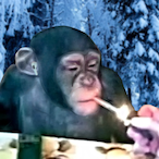 Hiz.Kitten's Avatar'