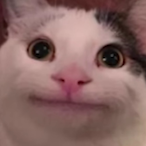 TopShelfLudes's Avatar'