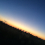 TinyBeaniee's Avatar'