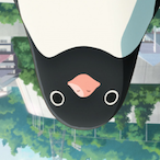 WetDog98's Avatar'