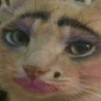 gostrogenocofi's Avatar'