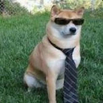 Meatychungoid.-'s Avatar'