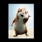 Zincfingerz's Avatar'