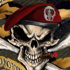 folgore2971's Avatar'