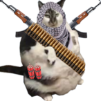 Faiko.ETS's Avatar'