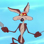 Coyote___Wolf's Avatar'