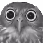 APQrow's Avatar'