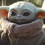 TS_Baby.Yoda's Avatar'
