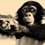 Ganster.Monkey's Avatar'