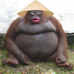 Shukashuu.'s Avatar'