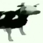 Flugegeheimen__'s Avatar'