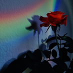 suzsx's Avatar'