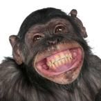 Mcnyet's Avatar'